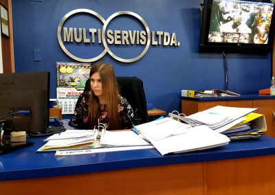 Multiservis - Arriendo de Maquinaria, Equipo y Herramientas para la industria y la construcción, en Chillán y Ñuble.